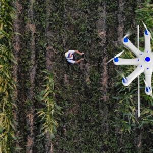 droni agricoli