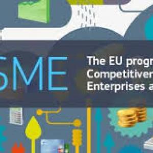The COSME financial instruments: funding opportunities for European SMEs