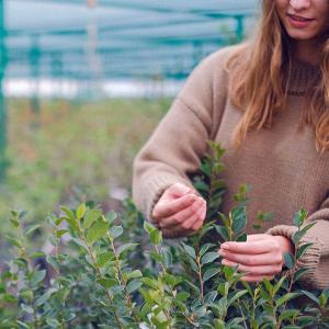 In Sardegna 7800 imprese agricole al femminile