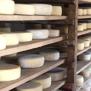 Boom dell’export sardo