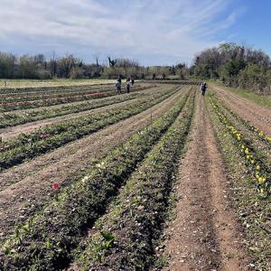 l’agroalimentare traina l’economia italiana