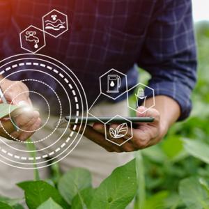 biodiversità