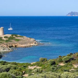 transizione economica
