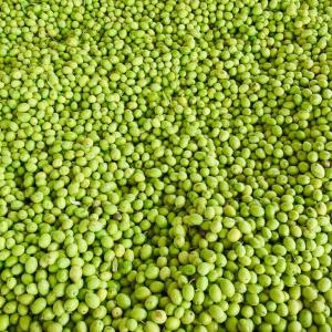 olive in frantoio