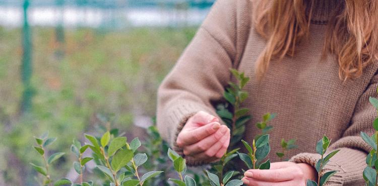 In Sardegna 7800 imprese agricole al femminile