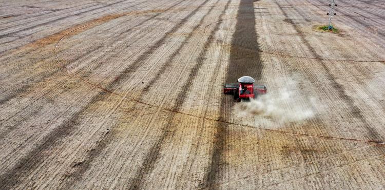 Terreno agricolo