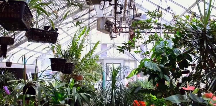 Fiori per tutte le stagioni