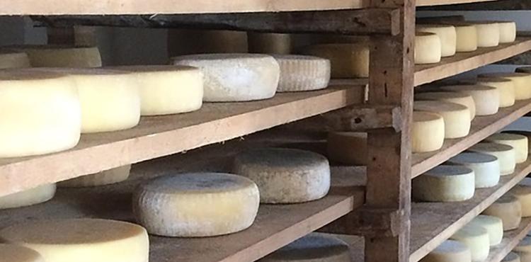 Sassari e Nuoro le province più vulnerabili ai dazi di Trump