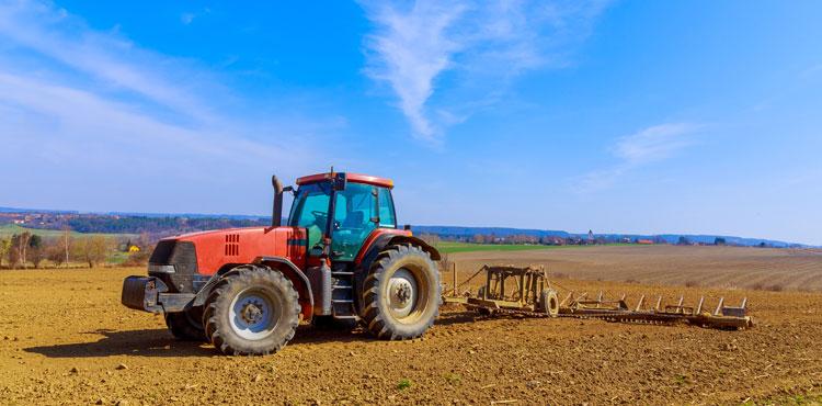 agricoltura