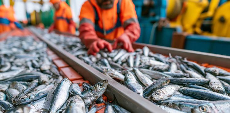 pesca e acquacoltura