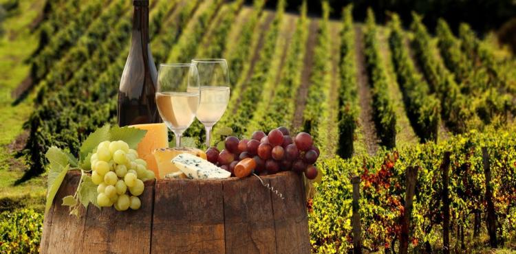 Wine Incoming Tour, in Sardegna gli importatori provenienti da Russia, Kazakhstan, Azerbaijan e Bielorussia