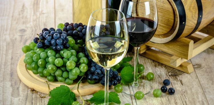 Wine South America, il vino italiano in vetrina in Brasile