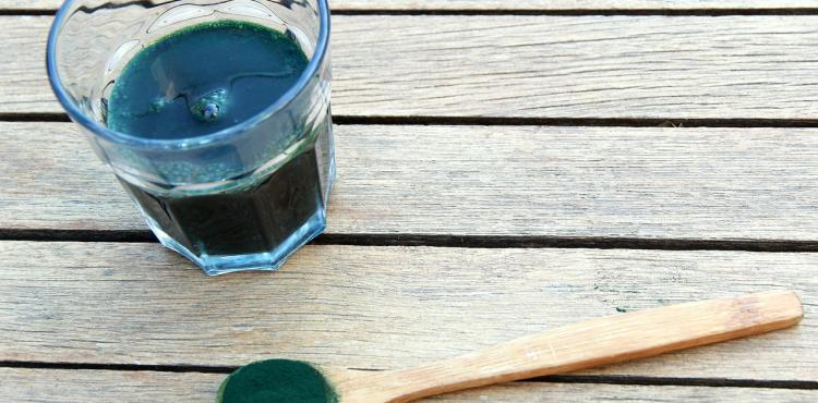 Livegreen, l’azienda sarda che produce l’alga spirulina italiana