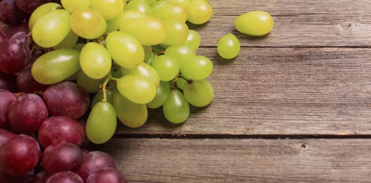 Immagine simbolica uva vino