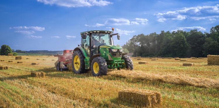 Campo agricolo