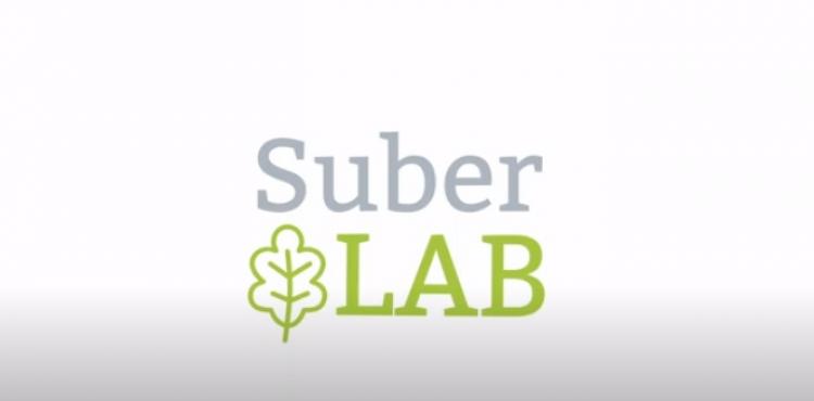 Suber Lab, la startup sarda che certifica qualità e sicurezza dei tappi di  sughero per i grandi vini | SardegnaImpresa