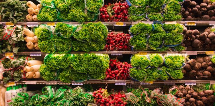 Agroalimentare, partecipazione aziende italiane alla Nordic Organic Food  Fair 2023, in Svezia | SardegnaImpresa