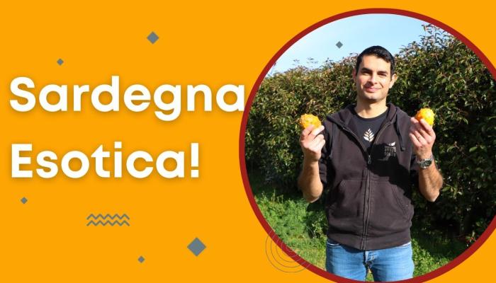 Embedded thumbnail for AZIENDA AGRICOLA “A MODO NOSTRO”: la Sardegna esotica