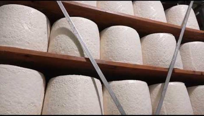 Embedded thumbnail for LATTERIA LAIT: eccellenza casearia, sostenibilità e vocazione all’export