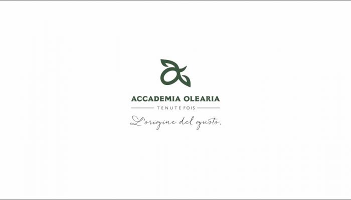 Embedded thumbnail for Accademia Olearia, il gusto della tradizione nell’olio extravergine di oliva che conquista il mondo